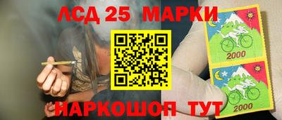 mdpv Краснознаменск