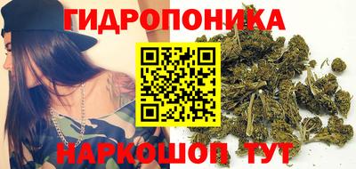 mdpv Краснознаменск