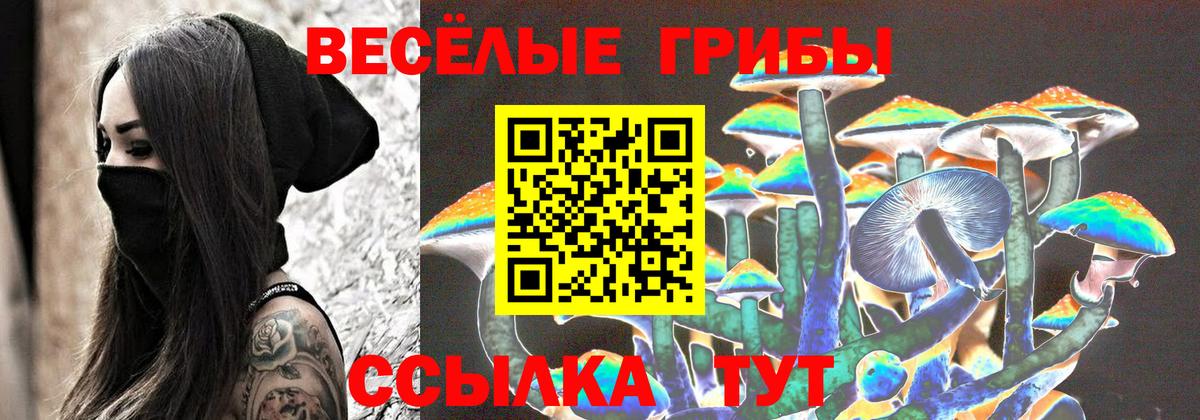 Псилоцибиновые грибы GOLDEN TEACHER Красногорск