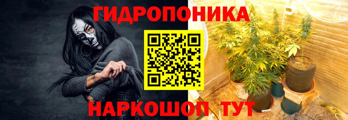 Канабис сатива Красногорск